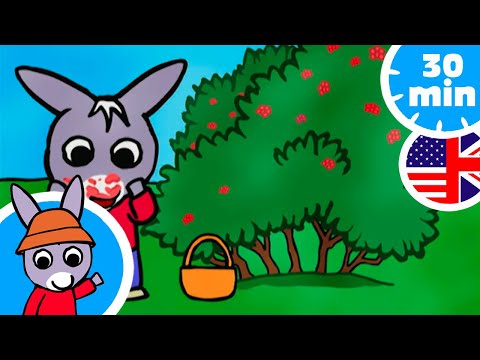 🍓 Trotro ate all the raspberry 🍓| compilation for kids