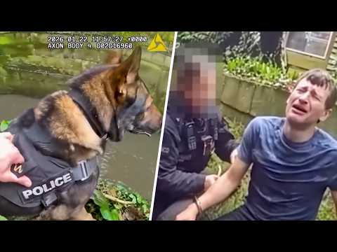 Watch the Moment a Fleeing Felon Realized You Can't Outswim a Police Dog!