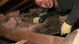 Black Insulation in Attic - How To Home Insulation by Corey Binford 50,988 views 12 years ago 1 minute, 59 seconds