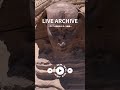 【アーカイブ映像】エジプト現地からスフィンクスの映像をお届けします