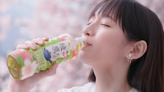 吉岡里帆、満開の桜の中で一足早いお花見「桜が開くと嬉しくなる」　綾鷹新TVCM『桜ひらく、おいしさひらく』篇『春は抹茶』篇