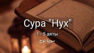 Выучите Коран наизусть | Каждый аят по 10 раз 🌼| Сура 71 "Нух" (1-5 аяты)