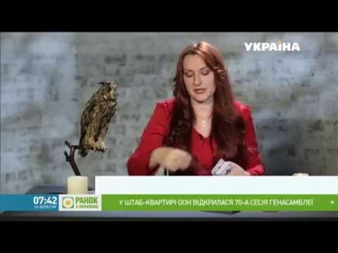 Евдокия Вернигор экстрасенс предсказания "Утро с Украиной", "Ранкова мистика"