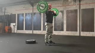 Back Rack Rear Foot Elevated Split Squat 31×0