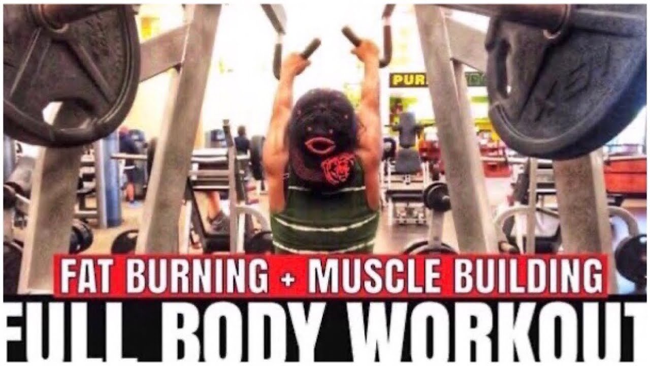 FAT BURNING AND MUSCLE BUILDING [FULL BODY WORKOUT] YouTube