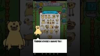Pug marathon (pug evolution) part 5