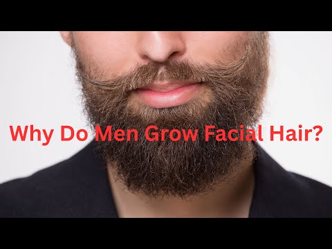 Why Do Men Grow Facial Hair?