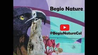 Avistamiento De Aves - Sena - Centro Acuario La Granja