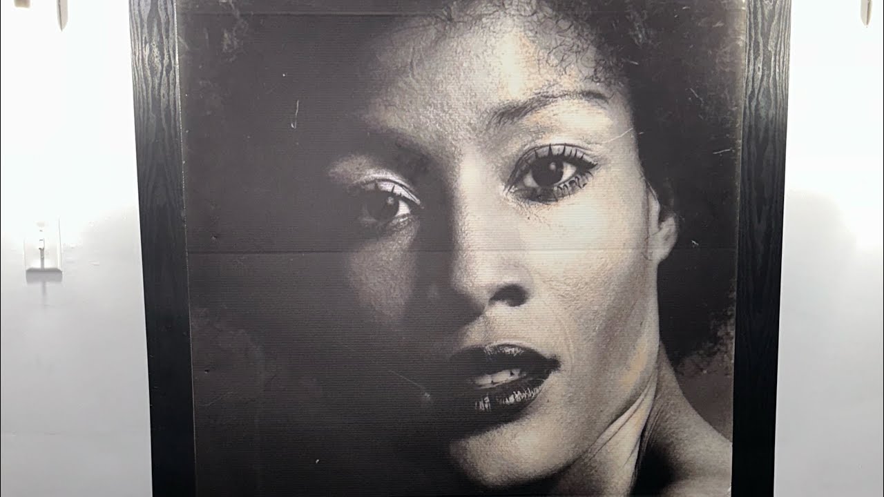 GREAT IDEA FOR CLASSIC DINING ROOM DECOR