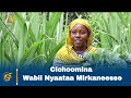 Cichoomina Wabii Nyaataa Mirkaneesse