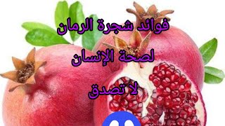 فوائد شجرة الرمان وثمارها فوائد هائلة لا تصدقthe benefits of the roman tree and its fruit