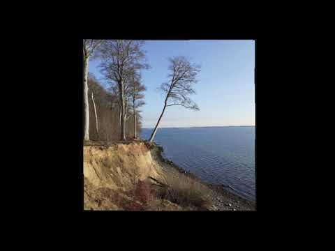 Fleeting world