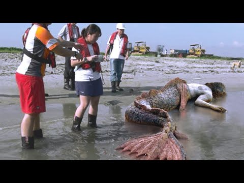 9 Szokujących RZECZY wyrzuconych na plażę