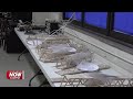 Growing STEM: Delphos St. John's 6th graders put their engineering skills to the test