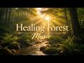 Healing Forest Music 🌿 Calm Piano for Anxiety Relief & Inner Peace