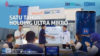 Setahun Holding Ultra Mikro