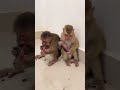 Great taste for cutie baby