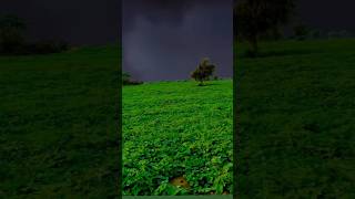 Download Lagu tinak tin tana #short #tiktok MP3