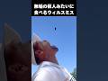 ウィルスミスは最高におもしろいハリウッドスター　#ウィルスミス #shorts