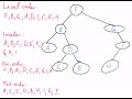 Algorithms and Data Structures: 8th lecture (trees)
