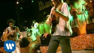 Los Delinquentes - Duende Garrapata