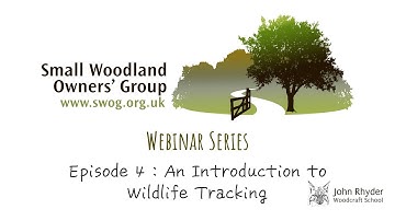 An Introduction to Wildlife Tracking