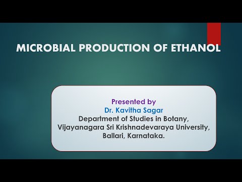 Video: Zymomonas Mobilis Metaboolne Tehnika 2,3-butaandiooli Tootmiseks Lignotselluloossest Biomassi Suhkrust
