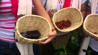 Antonio Y Claudia Cogiendo En El Parque