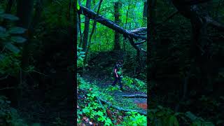 Good hike to abandoned mines #caves #explore #hikingadventures #nature #appalachia #hiking #hiking