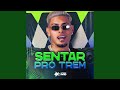 Sentar Pro Trem Cover Sentar Pro Trem Cover