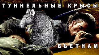 Подземные войны (Туннельные крысы)