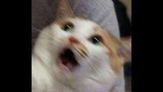 Pre-Algebra: Integer Exponents Notes Explained