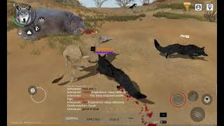 Playing wolf online 2 for some time screenshot 5