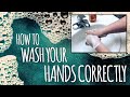 How to Correctly Wash Your Hands!