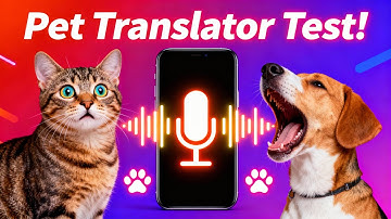 I Tried a Pet Translator App… You Won’t Believe How My Cat Reacted!