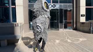 Owl B dancing 101   SD 480p