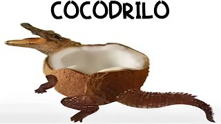 Shitposting compilation V34 || shitposting en español