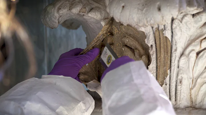 UVA Capital Restoration