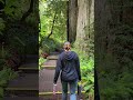 Grove of Titans Redwood National Park in Crescent City, California! #nationalpark #podcast #travel