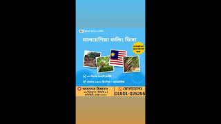 বাংলাদেশিদের জন্য আবারও মালয়েশিয়ার কলিং ভিসা চালু | Calling Visa | Malaysia | প্ল্যান্টেশন | 2024