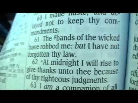 Psalm 119 King James Holy Bible (Cheth) - YouTube