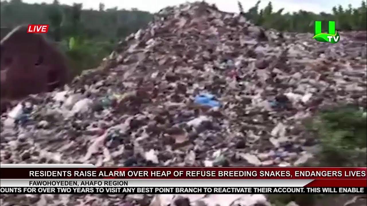 MIDDAY NEWS 04/09/25