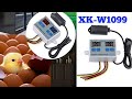 XK-W1099 Temperature & Humidity Controller setting, wiring কৰাৰ নিয়ম || Incubator ৰ বাবে || SG Rangp