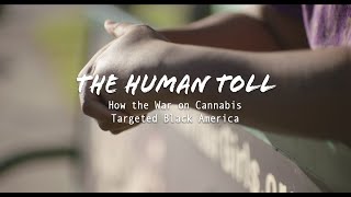 The Human Toll: War on Race