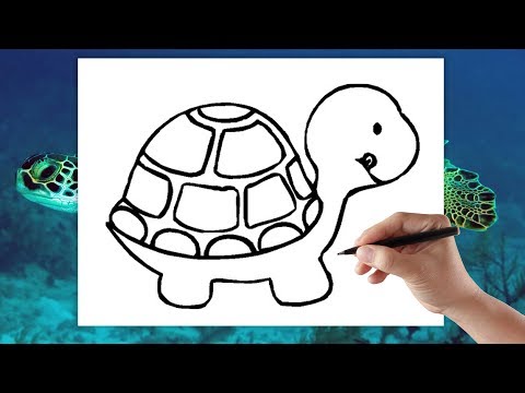 Wideo: Jak Narysować żółwia