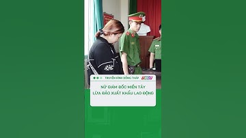 Bắt nữ giám đốc lừa đảo xuất khẩu lao động ở miền Tây #shorts