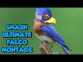 FALCO IS BROKEN! (Super Smash Bros. Ultimate Montage)