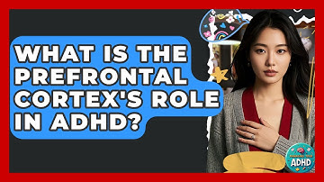 What Is The Prefrontal Cortex