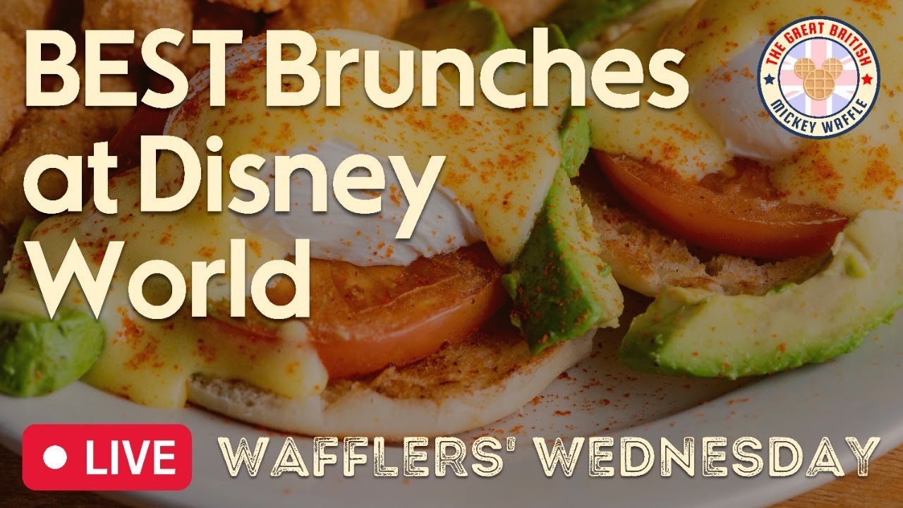 BEST Brunches at Disney World YouTube