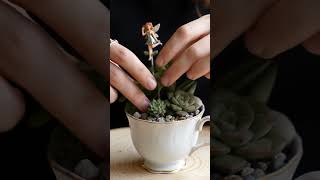 Teacup Fairy Garden Transformation! ✨ Tiny DIY Magic